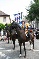 IMG_6563 (2) 